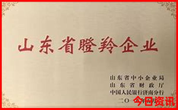 成都玩的地方有哪些地方